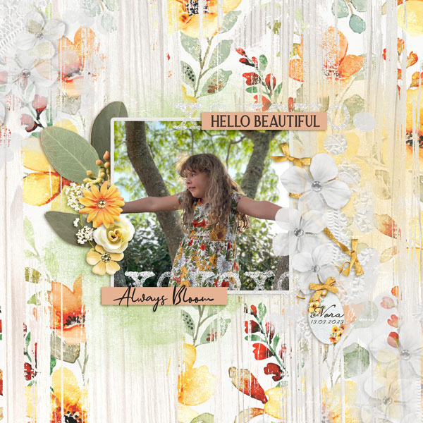 Bloom