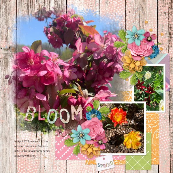 Bloom