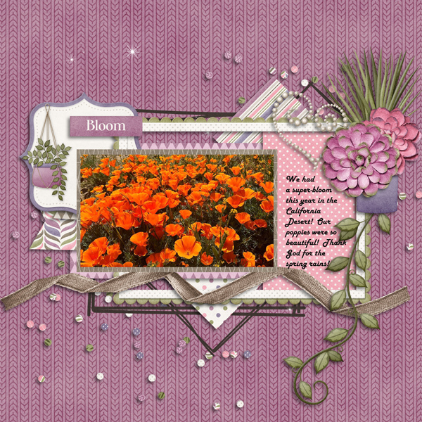 Bloom