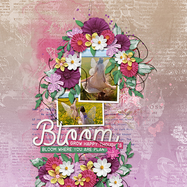 Bloom