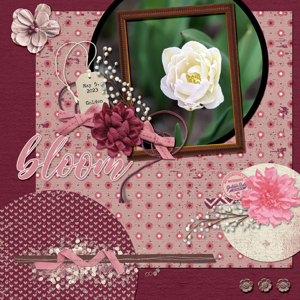 Bloom