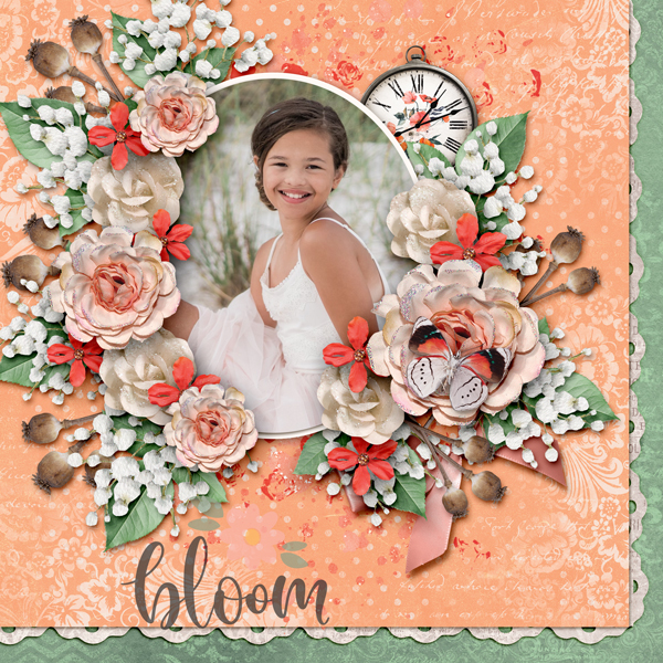 Bloom
