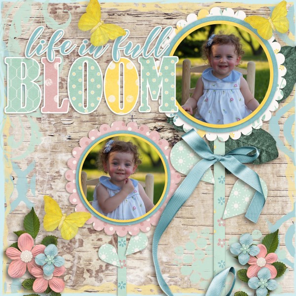Bloom