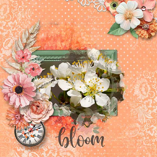 Bloom