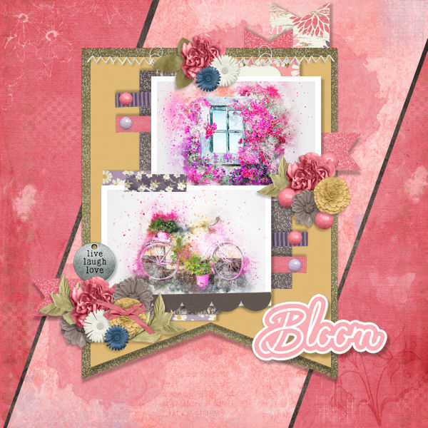 Bloom