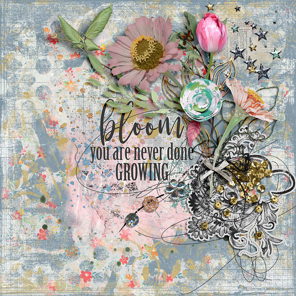 Bloom