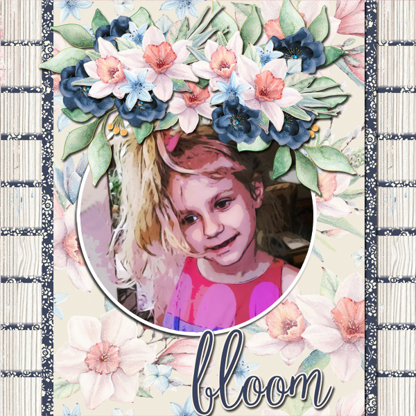 Bloom