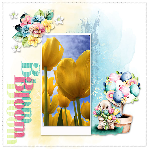 Bloom