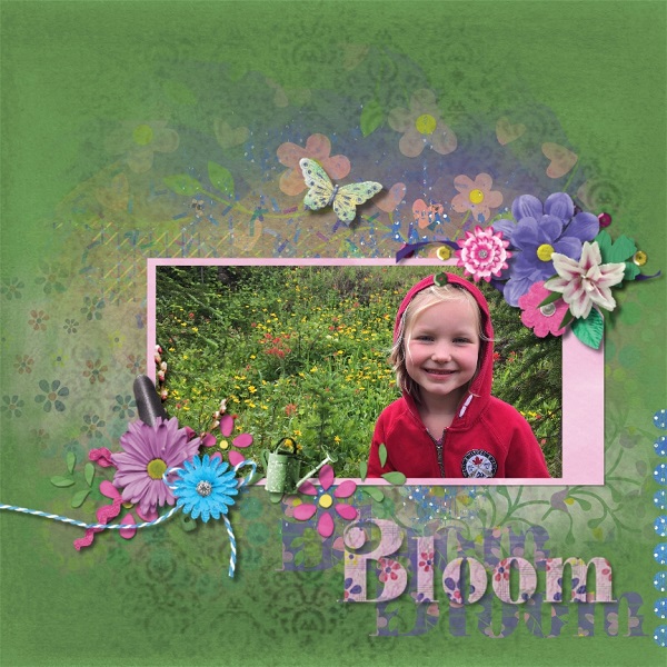Bloom