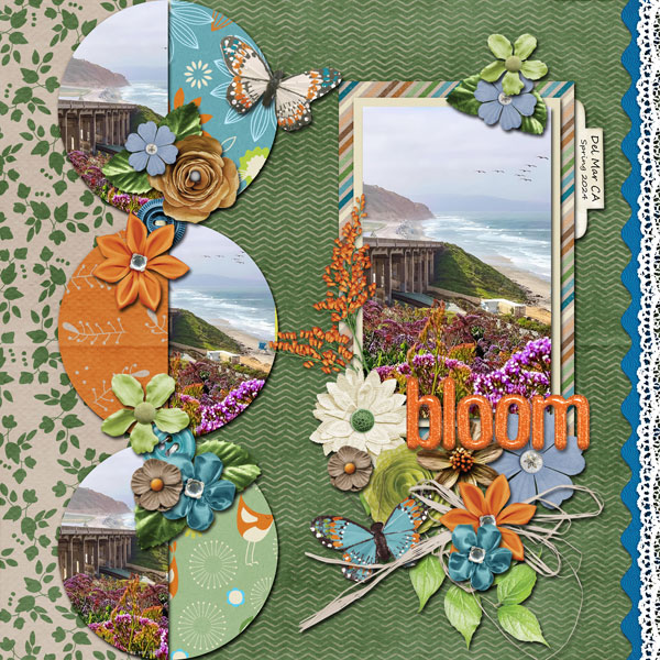 bloom