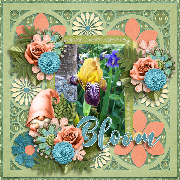 Bloom