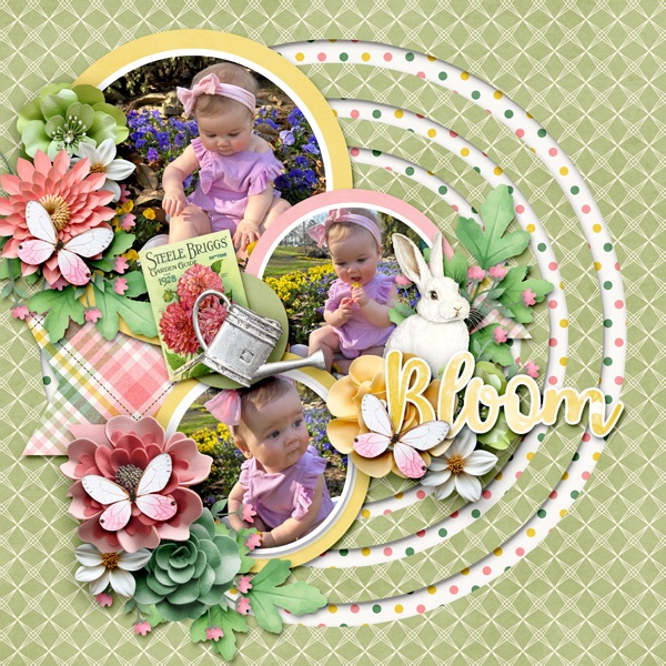 Bloom