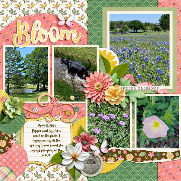 Bloom