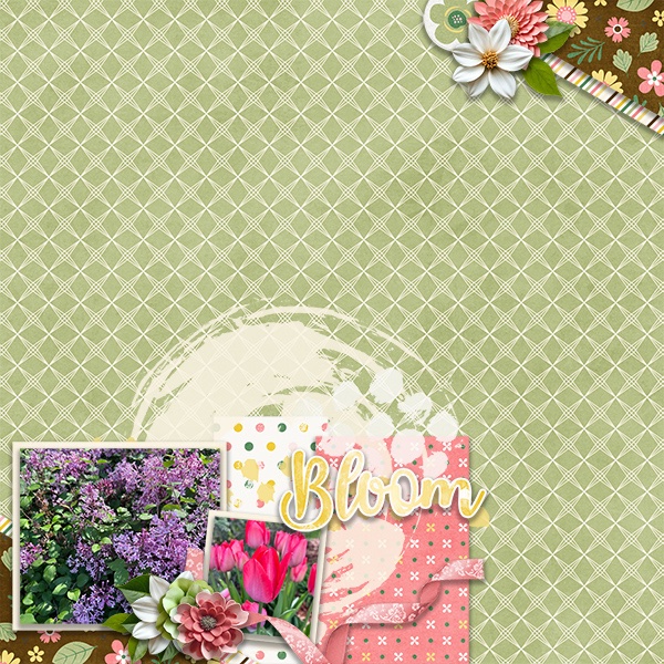 Bloom
