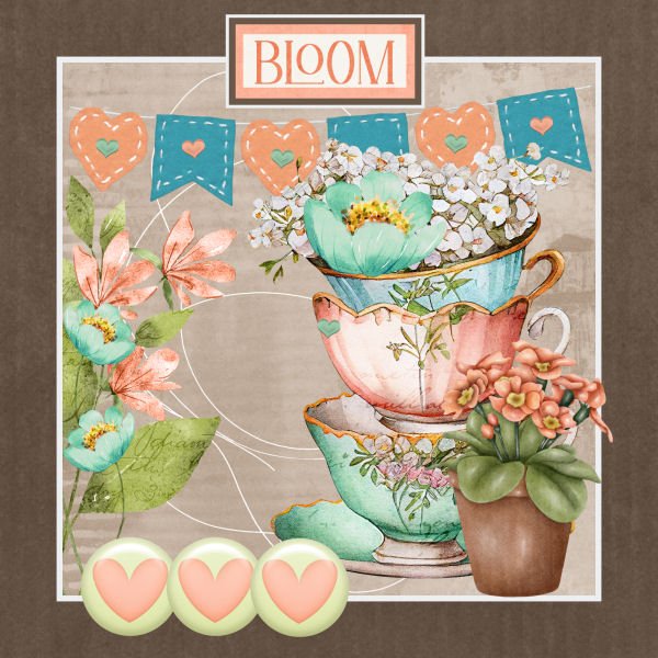 Bloom