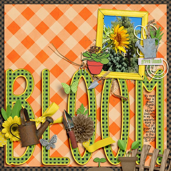 Bloom