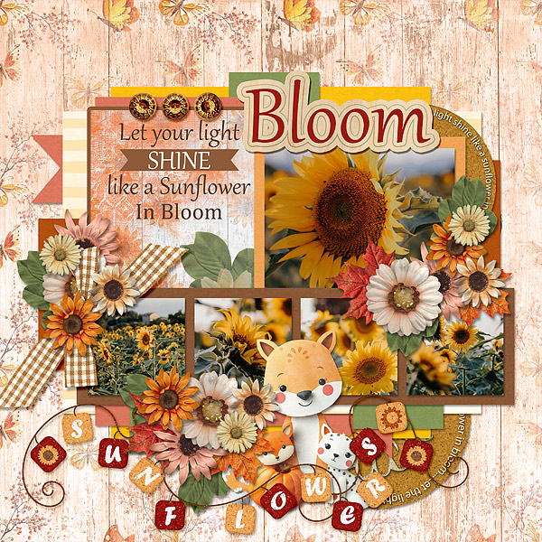 Bloom