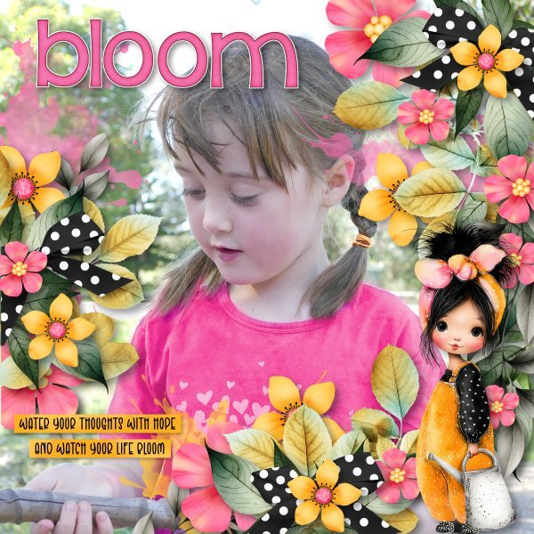 bloom