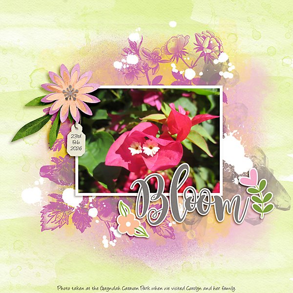 Bloom