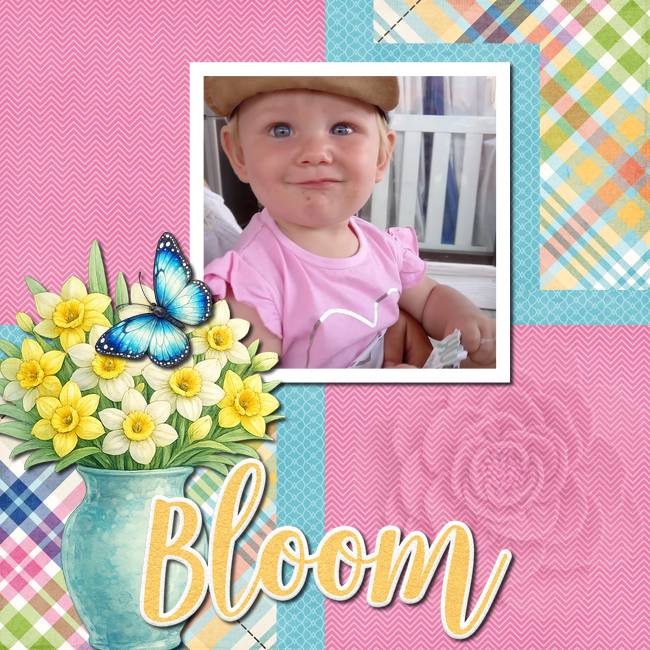 Bloom