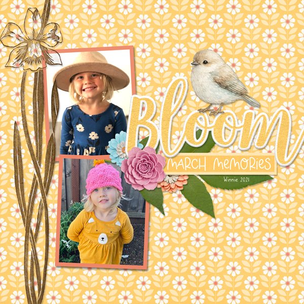 Bloom