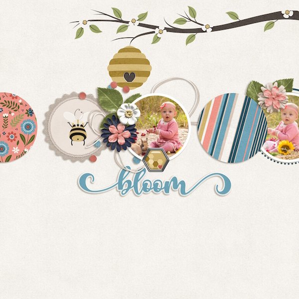 Bloom