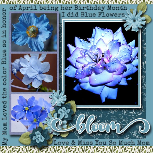 Bloom