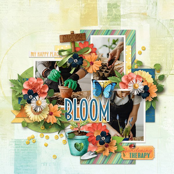 bloom
