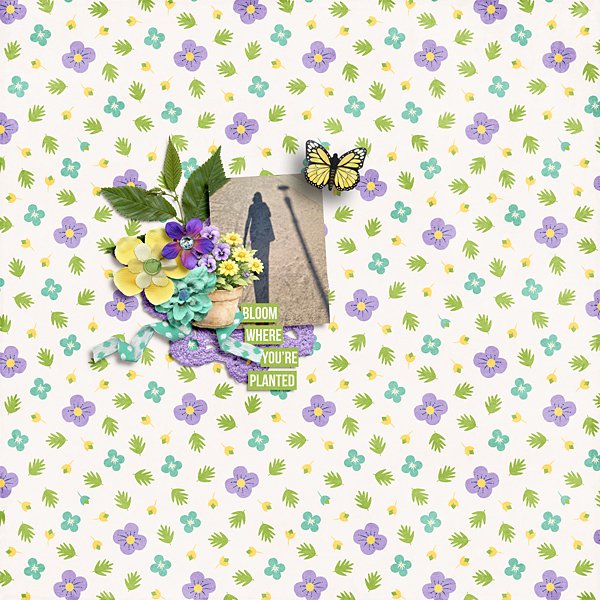 Bloom