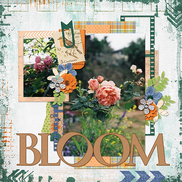 Bloom