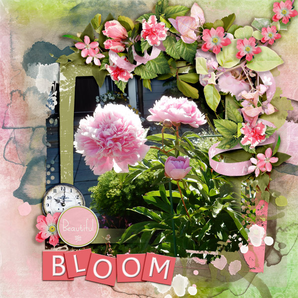 Bloom12