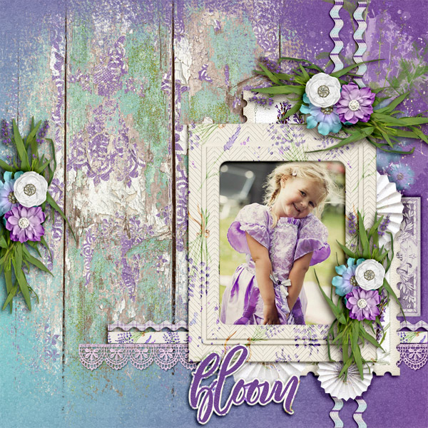 Bloom14