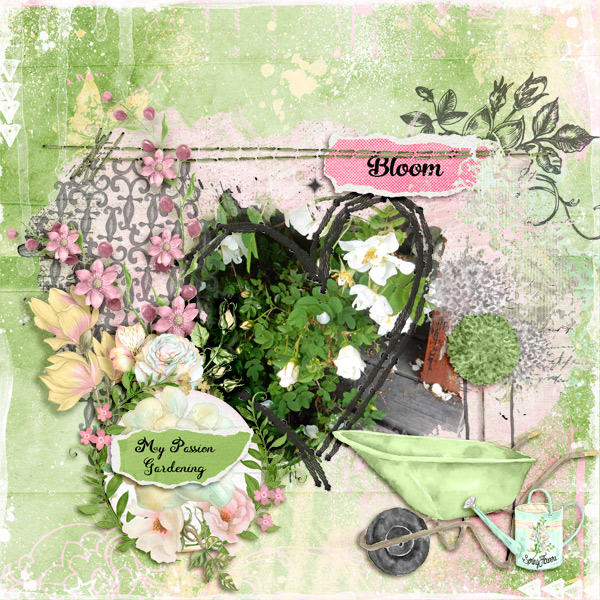 Bloom19