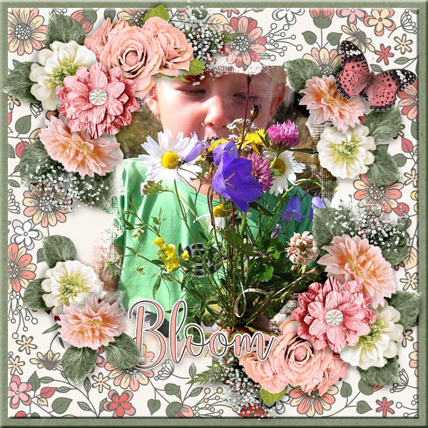 Bloom23