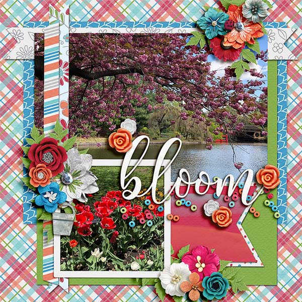 bloom26