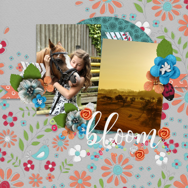 Bloom27