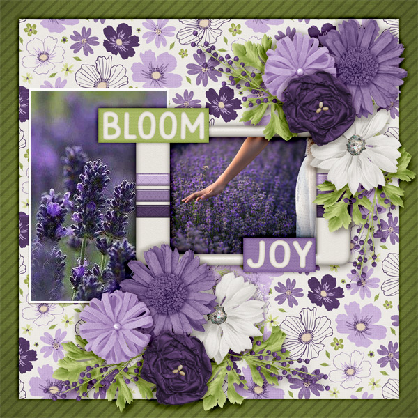 Bloom49