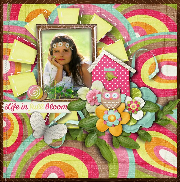 bloom6