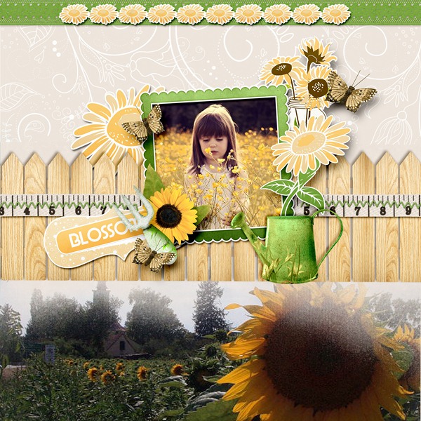 bloom8
