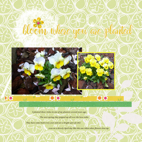 Bloom_April Connie Prince challenge