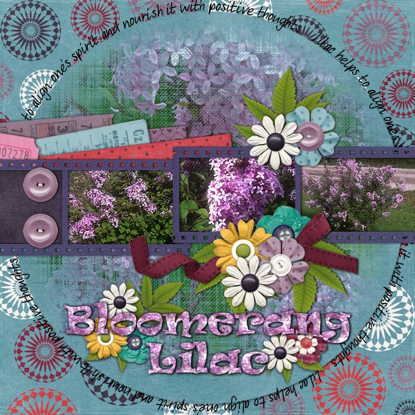 Bloomerang Lilac