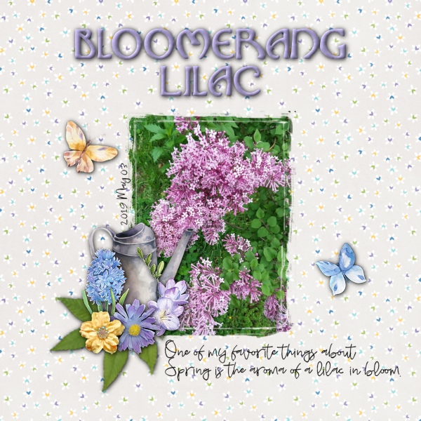 Bloomerang