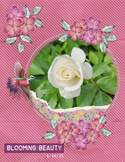 Blooming-Beauty