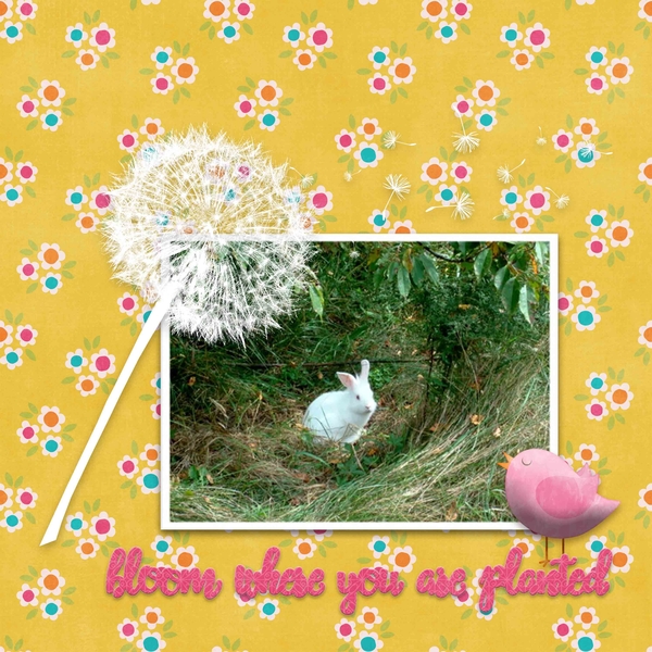 Blooming Bunny