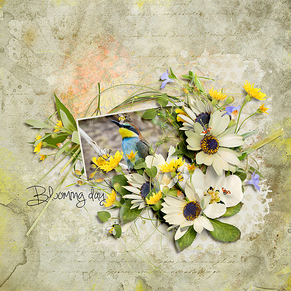 Blooming Day