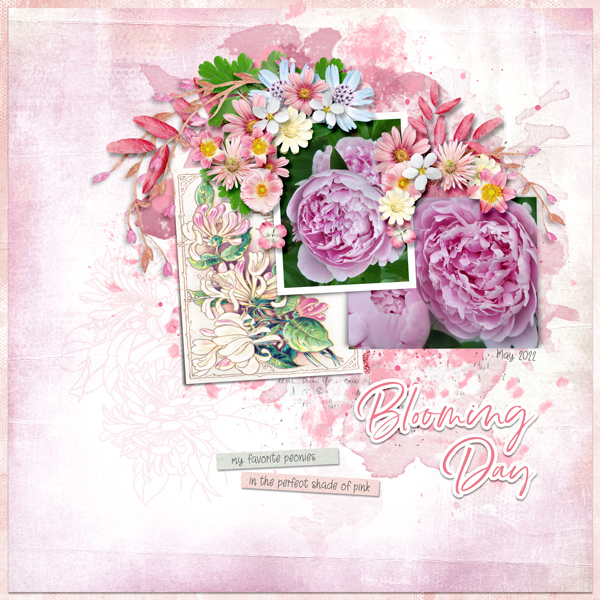 Blooming Day