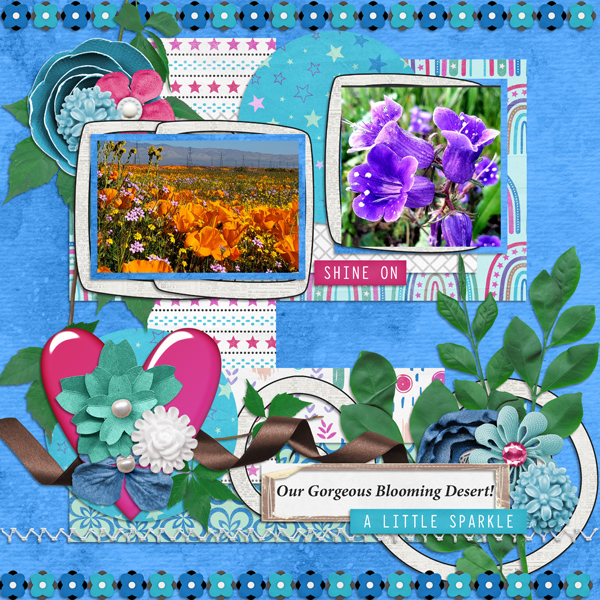 Blooming Desert