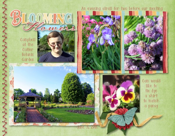 Blooming Flowers