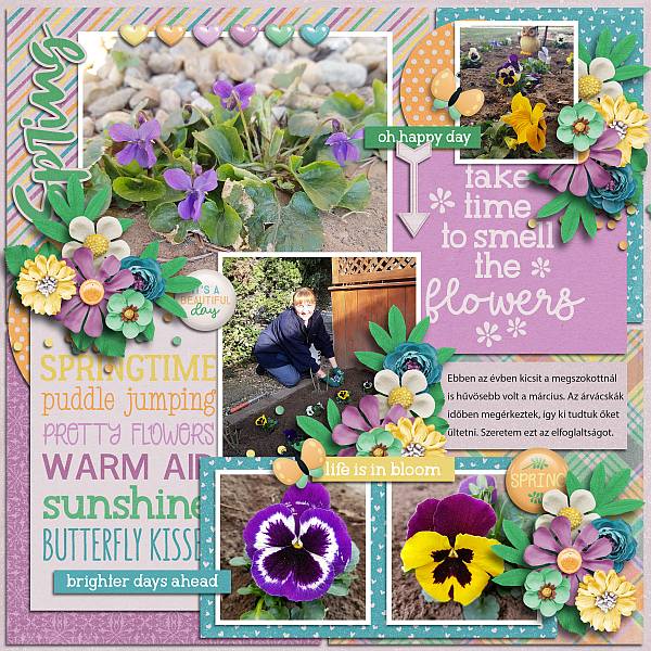 Blooming into spring