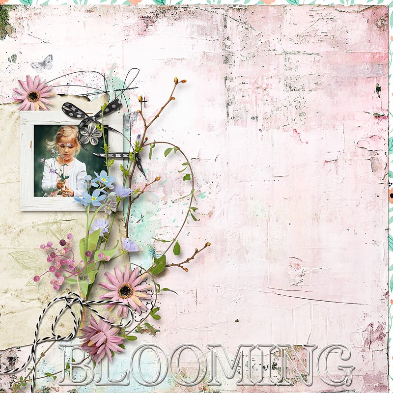 Blooming.jpg